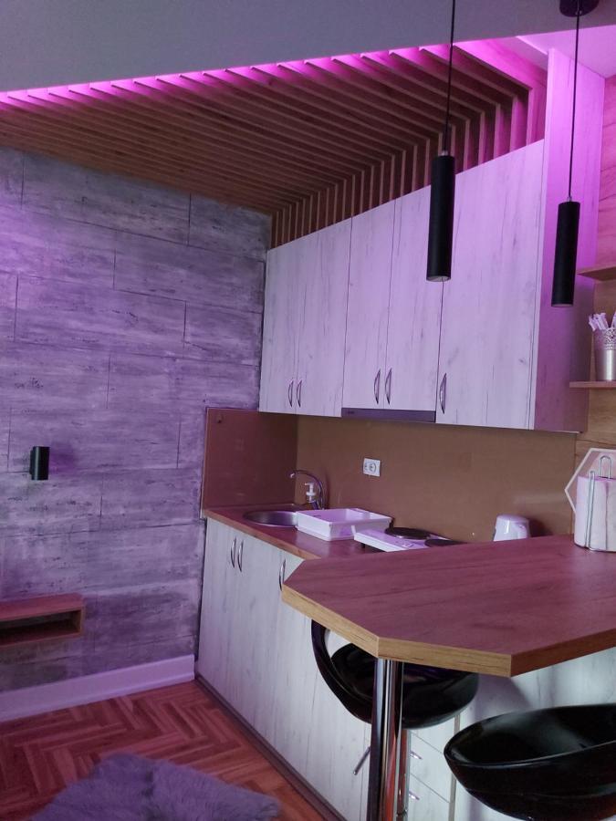 Apartman Studio Milica I Subotica Dış mekan fotoğraf